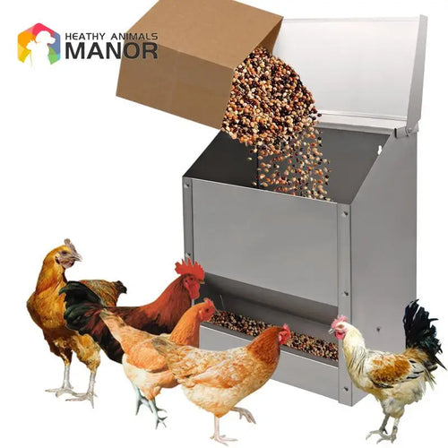 10L Stainless Steel Chicken Feed Trough Bird Drinking Poultry Diet Tool Quail Drinking Cage Pigeon Feeder Duck Food Bowl
